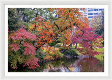 Load image into Gallery viewer, Shinjuku Gyoen
