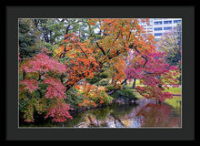 Load image into Gallery viewer, Shinjuku Gyoen
