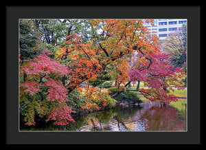 Shinjuku Gyoen