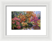 Load image into Gallery viewer, Shinjuku Gyoen
