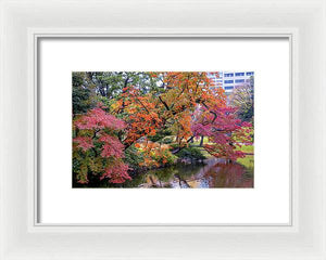 Shinjuku Gyoen