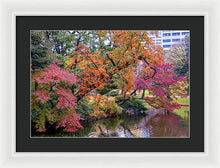 Load image into Gallery viewer, Shinjuku Gyoen
