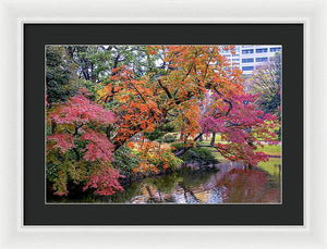 Shinjuku Gyoen