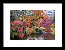 Load image into Gallery viewer, Shinjuku Gyoen
