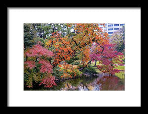 Shinjuku Gyoen