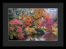 Load image into Gallery viewer, Shinjuku Gyoen
