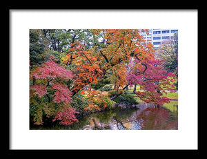 Shinjuku Gyoen