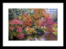 Load image into Gallery viewer, Shinjuku Gyoen
