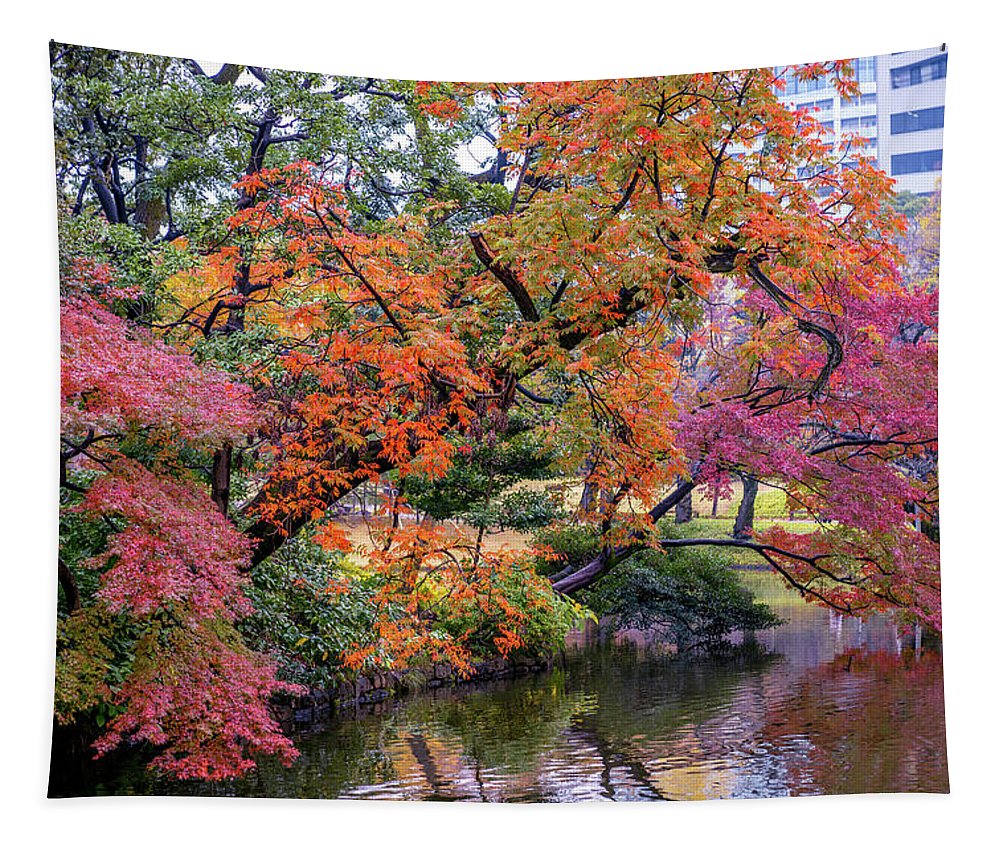 Shinjuku Gyoen