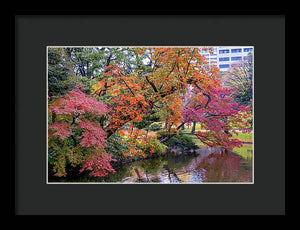 Shinjuku Gyoen