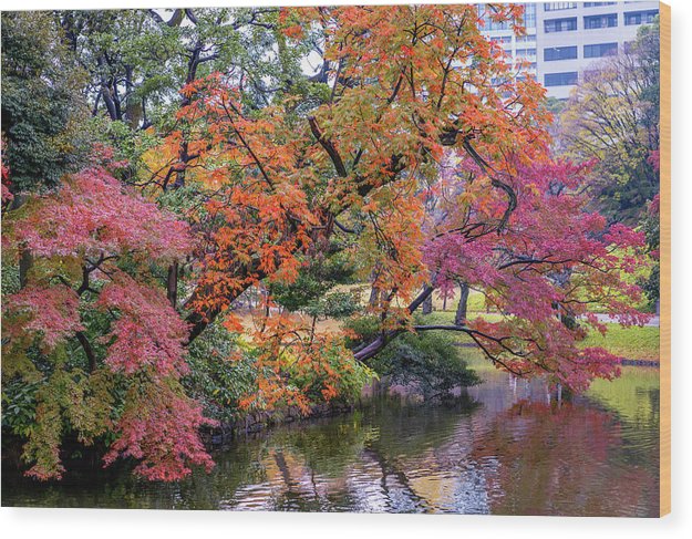 Shinjuku Gyoen