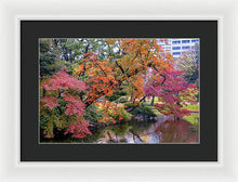 Load image into Gallery viewer, Shinjuku Gyoen
