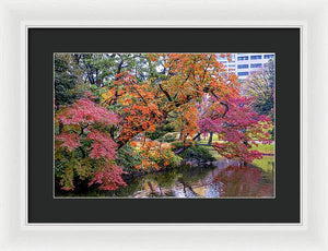 Shinjuku Gyoen