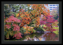 Load image into Gallery viewer, Shinjuku Gyoen
