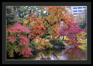 Shinjuku Gyoen