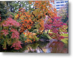 Shinjuku Gyoen