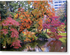 Shinjuku Gyoen