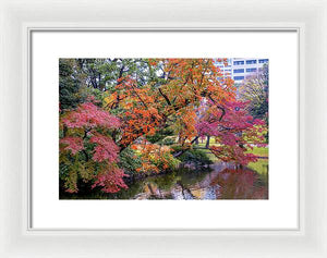 Shinjuku Gyoen