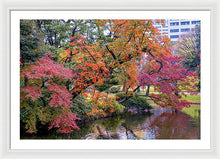 Load image into Gallery viewer, Shinjuku Gyoen
