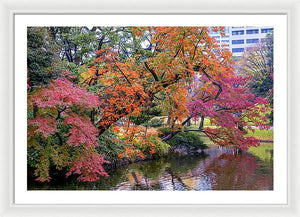 Shinjuku Gyoen