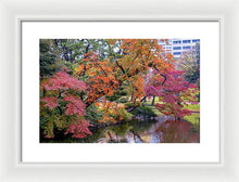 Load image into Gallery viewer, Shinjuku Gyoen
