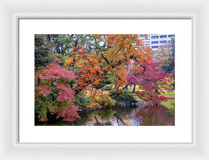 Shinjuku Gyoen