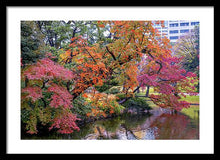 Load image into Gallery viewer, Shinjuku Gyoen
