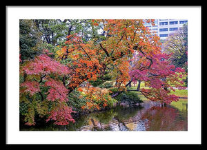 Shinjuku Gyoen