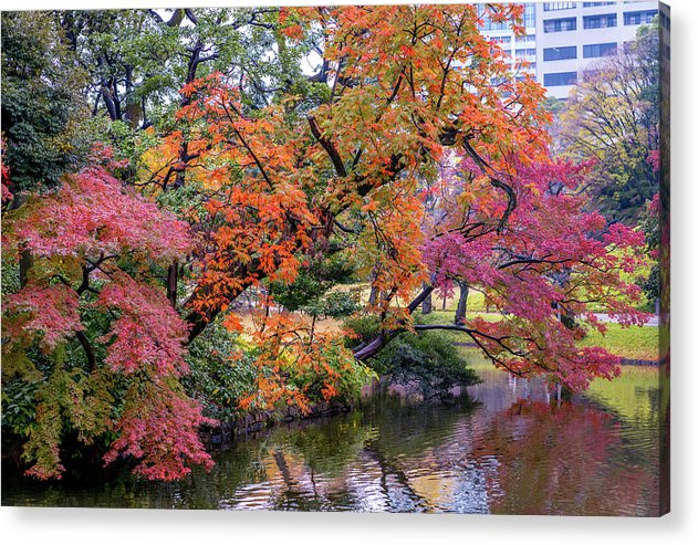 Shinjuku Gyoen