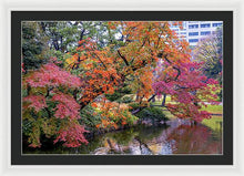 Load image into Gallery viewer, Shinjuku Gyoen
