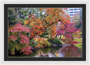 Shinjuku Gyoen