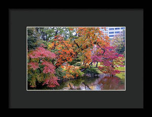 Shinjuku Gyoen