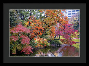 Shinjuku Gyoen