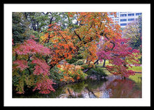 Load image into Gallery viewer, Shinjuku Gyoen
