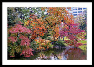 Shinjuku Gyoen