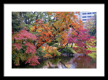 Load image into Gallery viewer, Shinjuku Gyoen
