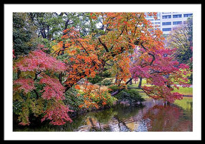 Shinjuku Gyoen