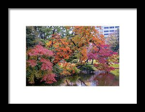 Shinjuku Gyoen