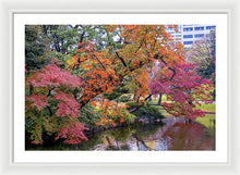 Load image into Gallery viewer, Shinjuku Gyoen
