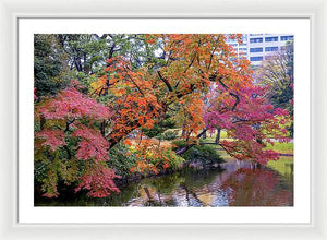 Shinjuku Gyoen