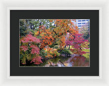 Load image into Gallery viewer, Shinjuku Gyoen
