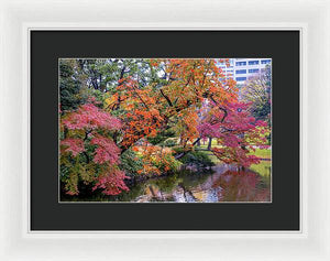 Shinjuku Gyoen