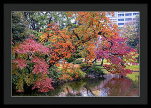 Shinjuku Gyoen