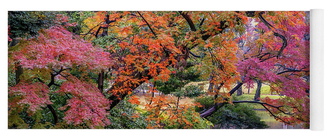 Shinjuku Gyoen