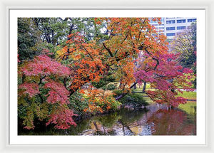 Shinjuku Gyoen