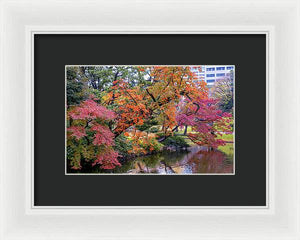 Shinjuku Gyoen