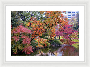 Shinjuku Gyoen