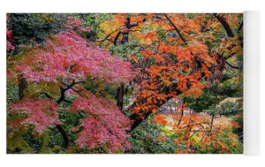 Shinjuku Gyoen