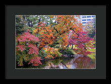 Load image into Gallery viewer, Shinjuku Gyoen
