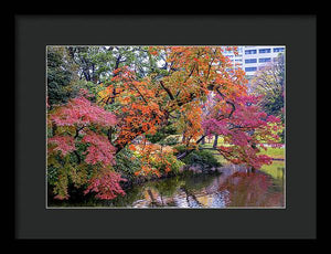 Shinjuku Gyoen